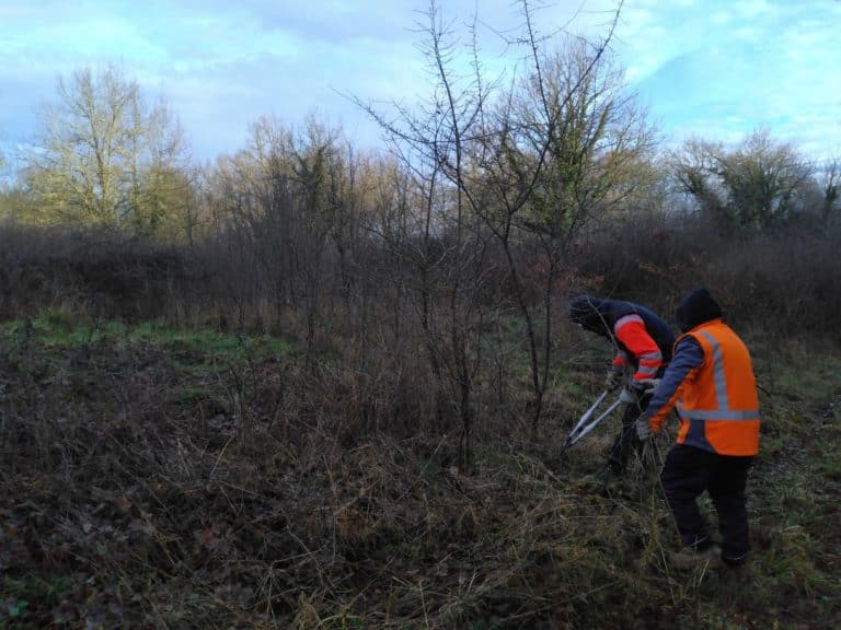 Espaces verts à Monpertuis